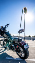 Load image into Gallery viewer, Burly Sissy Bar fits Harley-Davidson Sportster 2004-22, chrome or black, choice of heights