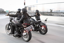 Load image into Gallery viewer, Burly Sissy Bar fits Harley-Davidson Sportster 1996-2003, chrome or black, choice of heights