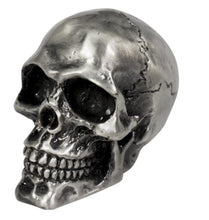 Load image into Gallery viewer, cracked skull ornamental statue for fenders bonnet mascot old silver
