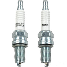 Load image into Gallery viewer, Genuine Harley-Davidson OEM Spark Plugs 6R12 (Pair) for Twin Cam/Sportster Models
