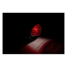 Load image into Gallery viewer, Custom Rear Tail &amp; Brake Light &#39;Colorado&#39; Adjustable Mount - Black
