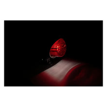 Load image into Gallery viewer, Rear Brake Tail and Licence Plate Light Custom with Adjustable Mount - Black - Highway Hawk H68-222B
