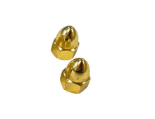 Load image into Gallery viewer, Gold 6mm Acorn Nuts, Pair (2) fits M6 Bolt 1.0 Thread - High Crown
