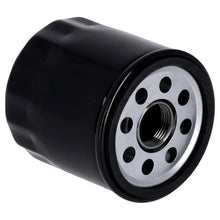 Load image into Gallery viewer, Black Oil Filter fits Harley-Davidson Pan America, Sportster S &amp; Nightster Models
